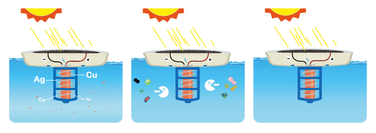 Tecnosolar - Esquema climatización de Piletas